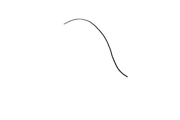 1.首先画一条弯曲的弧线.注意弧度的形状变化。