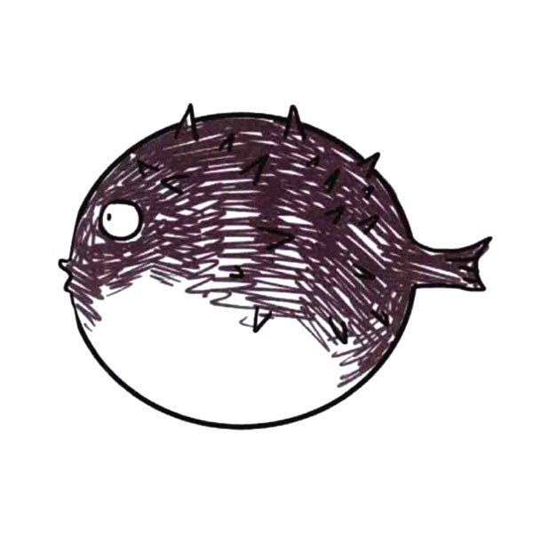 漂亮的小鱼简笔画图片3