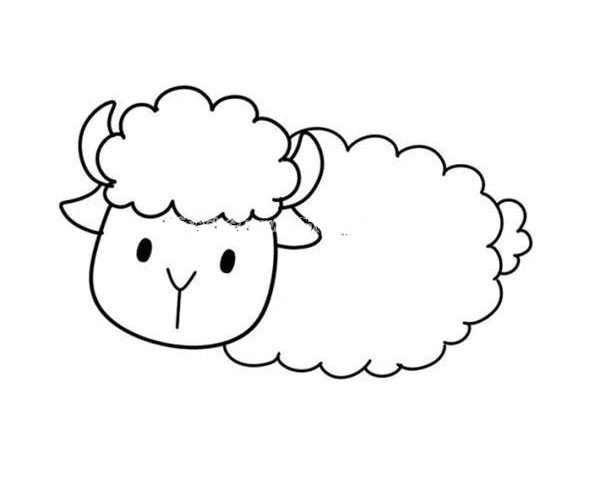 第四步：画绵羊的身体和小尾巴。因为绵羊毛很多，所以直接画云朵一样的形状来表示身体和尾巴。