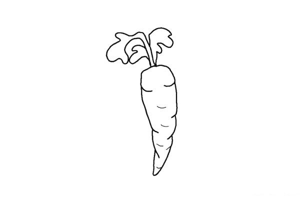 4.在胡萝卜上面画出它的纹路，多画几个又细又短的线条。