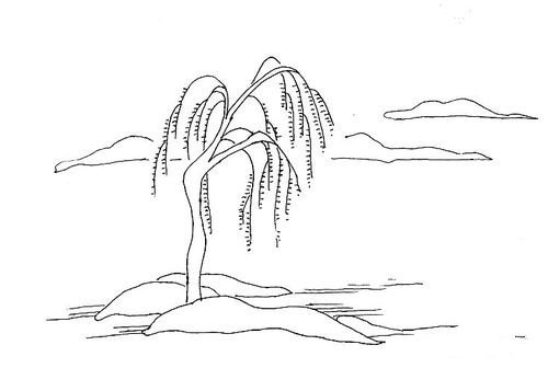 大树的简笔画方法介绍