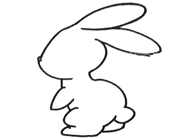 小兔子简笔画步骤3