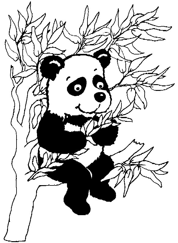 大熊猫简笔画图片1