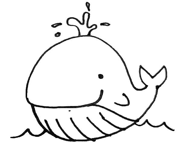 第六步：鲸鱼画好以后，在它上面画上一点水花，下面用小折线画出波浪。