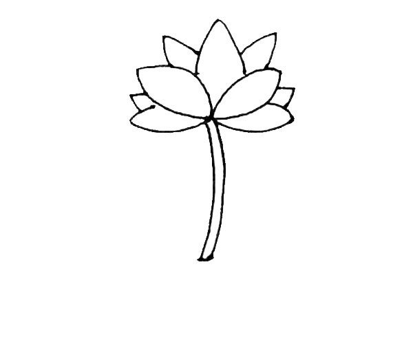 第四步：在花朵的下面，画上两根弧线，作为荷花的枝条。