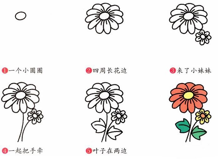 菊花的画法