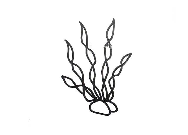 海底植物的简笔画图片3