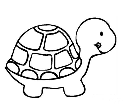 小乌龟可爱的简笔画