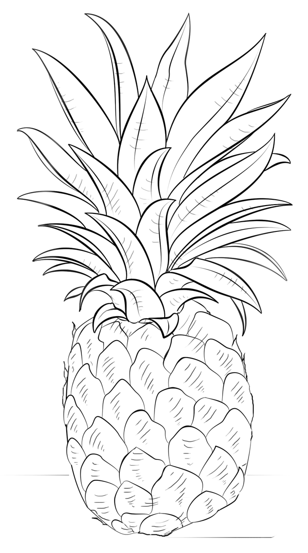 简单易学的菠萝简笔画