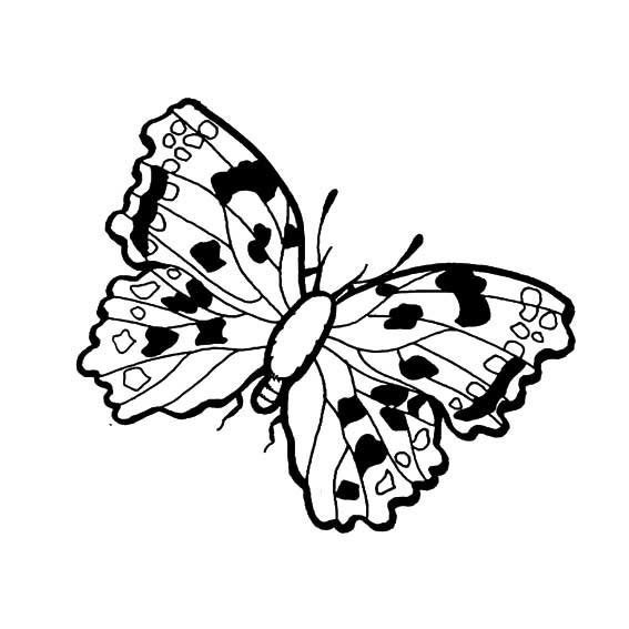 昆虫简笔画大全 美丽的蝴蝶简笔画