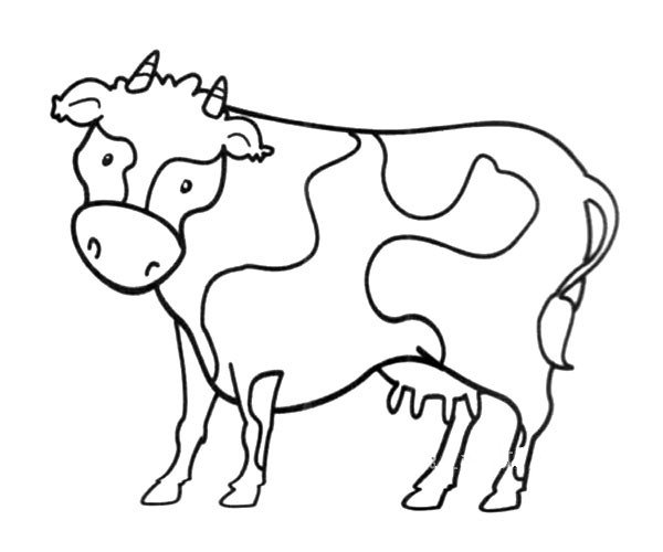 简笔画图片奶牛