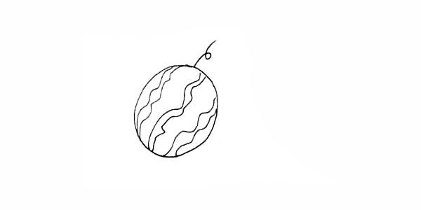 3.在西瓜的上面画上一根螺旋形的引蔓。