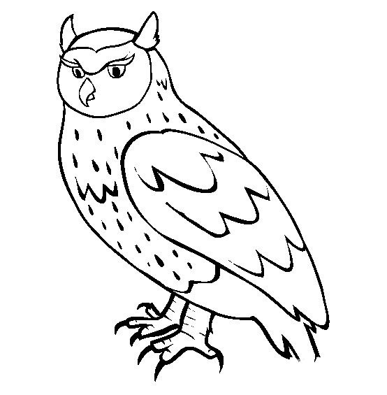 小鸟简笔画 猫头鹰简笔画图片