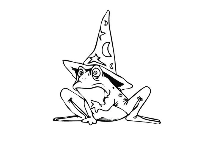 带女巫帽的青蛙