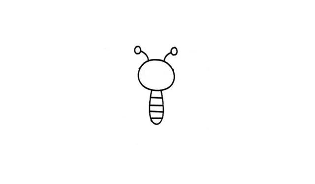 第二步  接着画出蜜蜂的身体，一个小小的条状型，中间画出几条小横线，对身体进行划分。