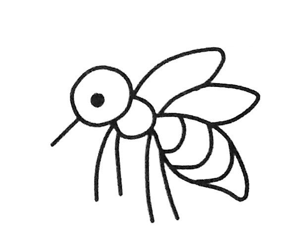 一组卡通蚊子简笔画图片