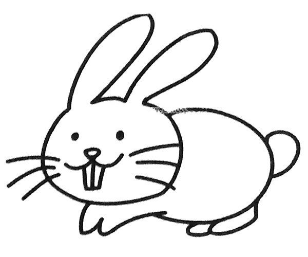 小兔子简笔画图片2