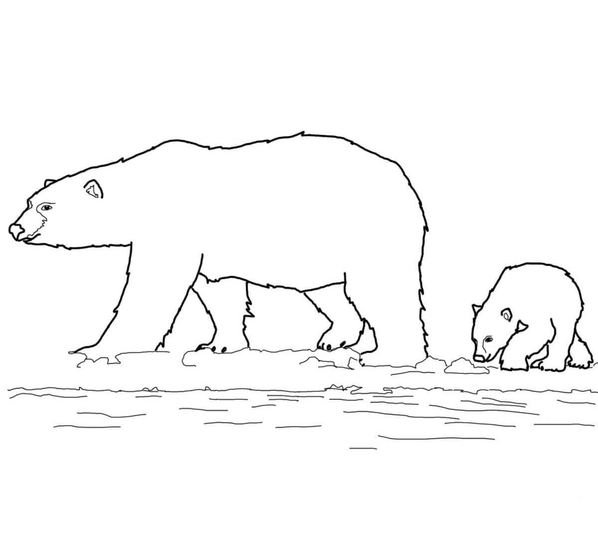 北极熊妈妈和小北极熊