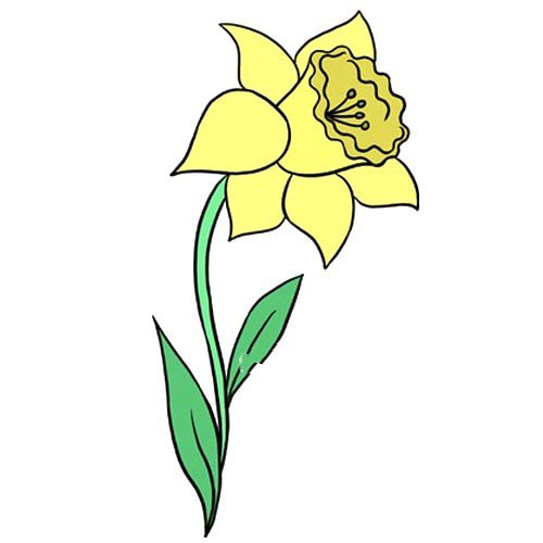 10.给你的水仙花涂上颜色。大多数水仙花是黄色的，但它们也可以是橙色、红色、白色或粉色。