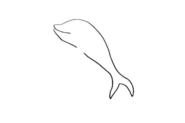 4.然后画出海豚剪刀形的小尾巴。