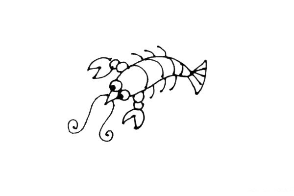 第五步：画上小龙虾的脚和它长长的胡须。