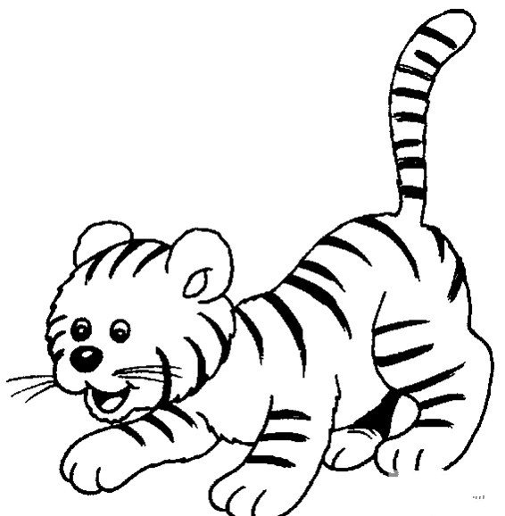 猫和老虎简笔画