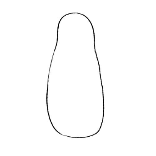 1.首先画出企鹅椭圆形的身体形状。