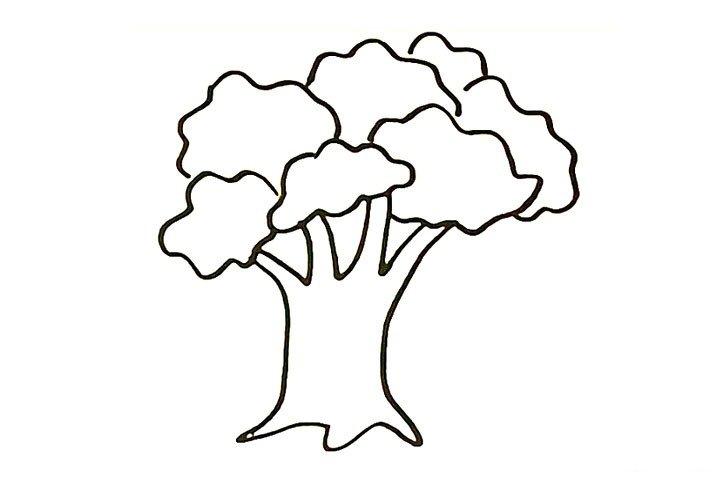 4.用同样的画法画出茂盛的树冠叶子。