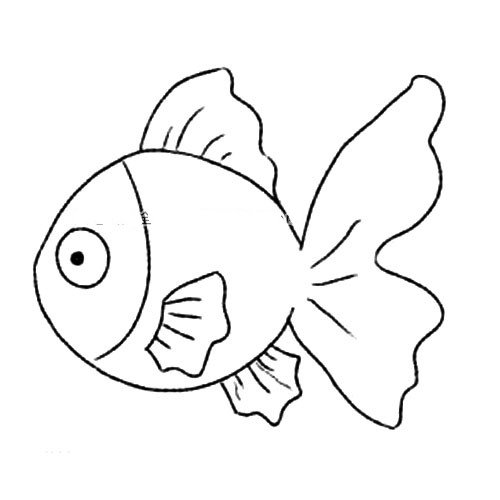 4.画出身体上的鱼鳍。