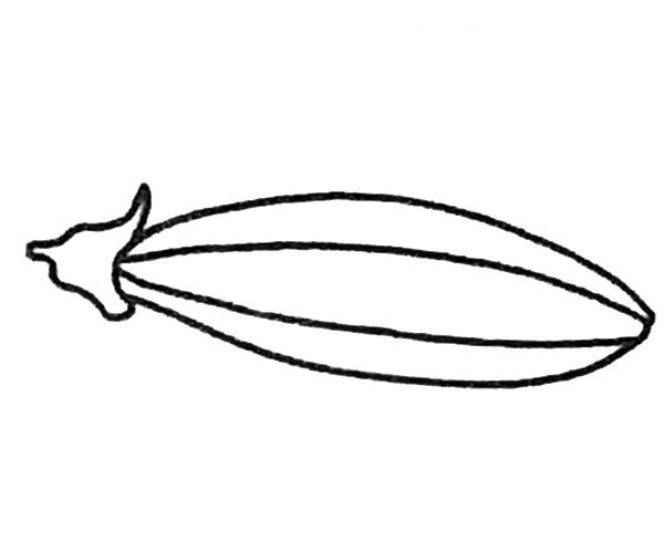 豌豆简笔画步骤3