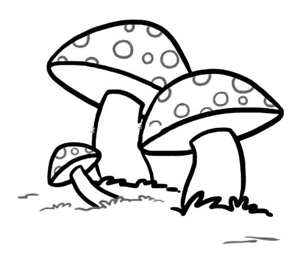 草地上的蘑菇简笔画1