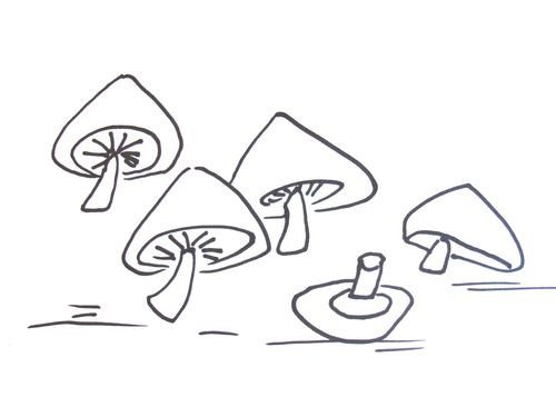 蘑菇的简笔画画法