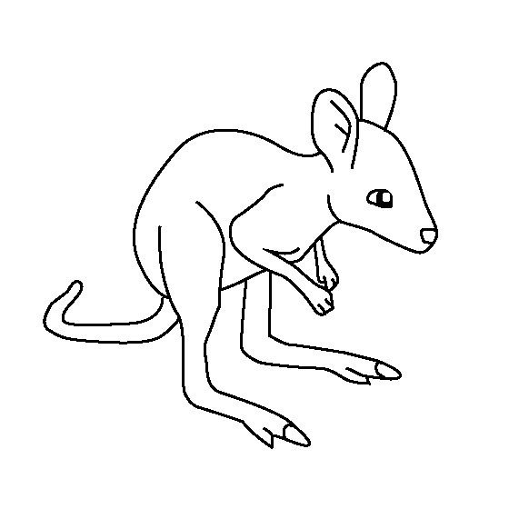 动物简笔画 可爱的小袋鼠简笔画图片