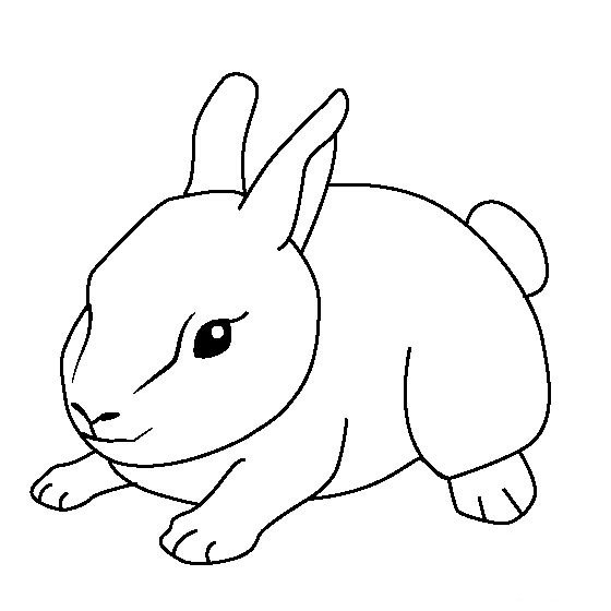 小兔子简笔画图片
