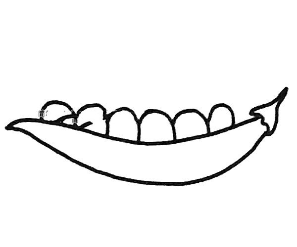 豌豆简笔画图片3