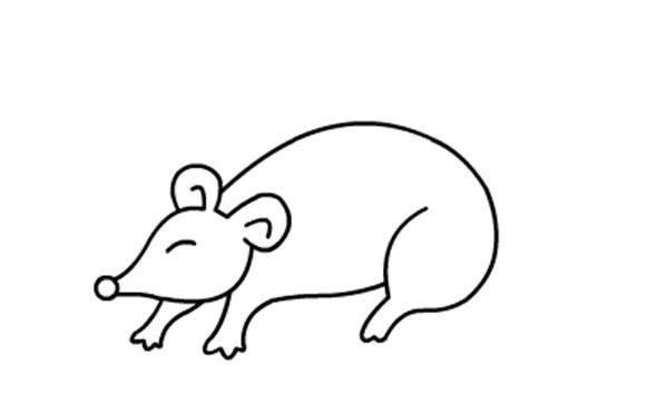 儿童动物简笔画老鼠