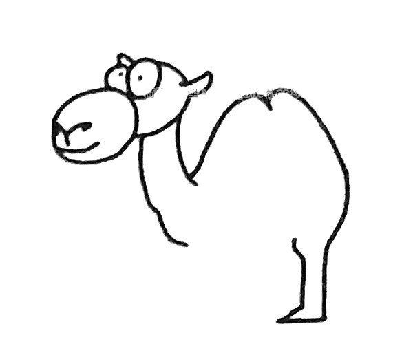 骆驼简笔画步骤2