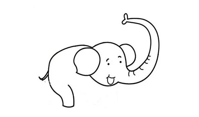 第五步  接着画出大象的尾巴，大象虽大，尾巴缺失细长细长的。