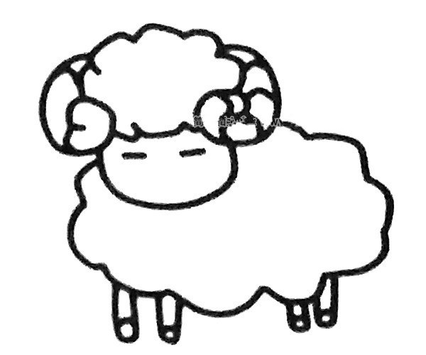 绵羊简笔画步骤4