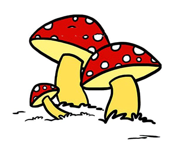 草地上的蘑菇简笔画2