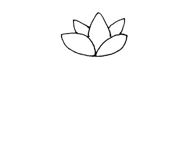 第二步：在中间，画上一个花瓣以后，两边也画出两片花瓣。