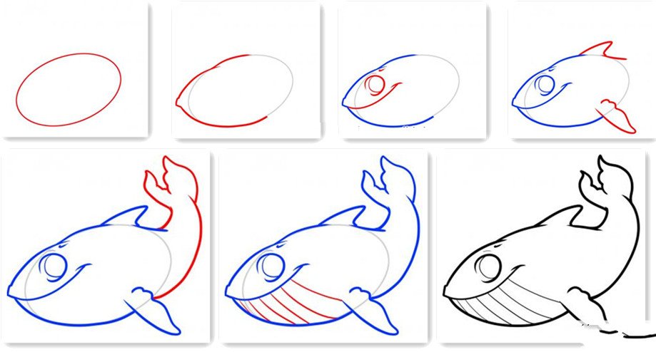 鲸鱼的画法
