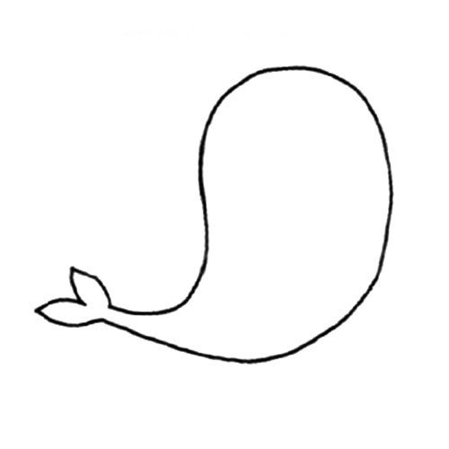 1.先画出海豹的轮廓，注意翘起的尾巴。
