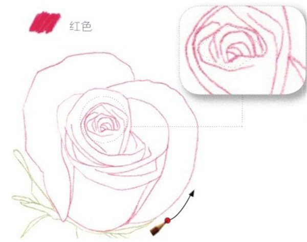 色彩画玫瑰的绘画技法