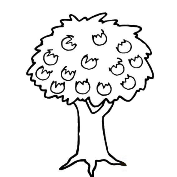 儿童植物简笔画果树