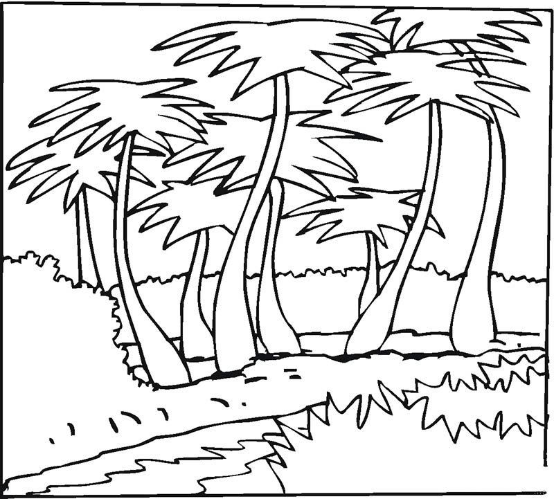 简易画椰子树