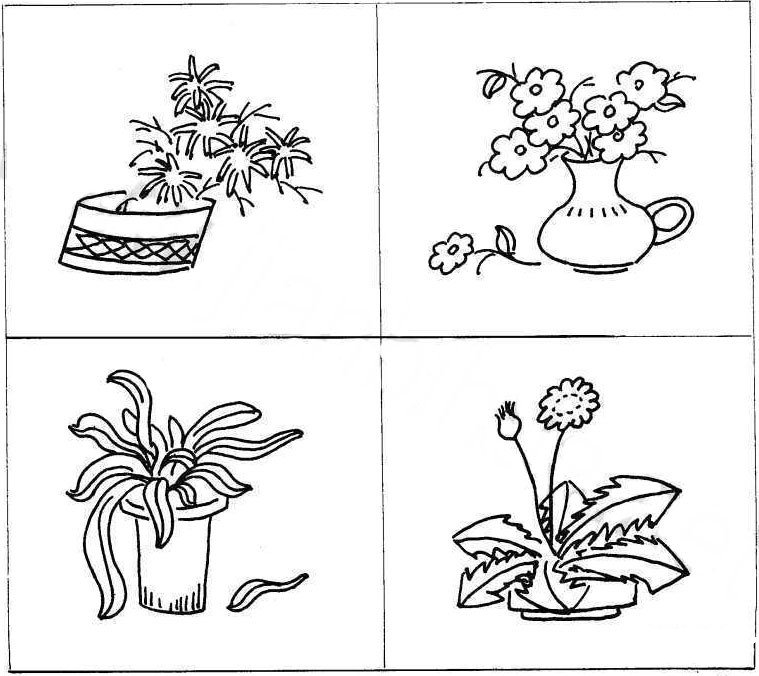 植物盆景简笔画
