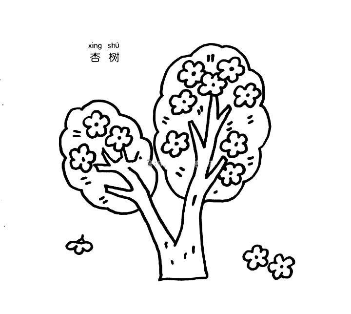 杏树简笔画图片