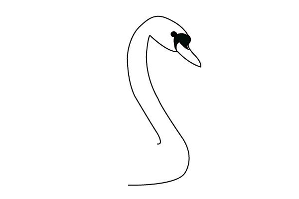 2.用两条曲线画出天鹅长长的脖子。