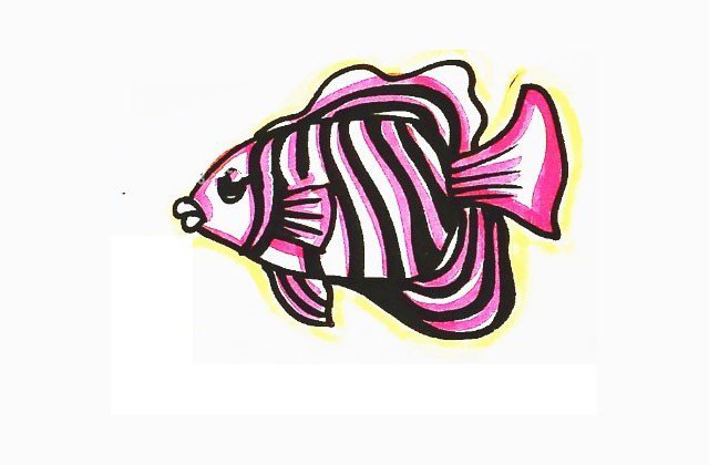 海洋鱼类的简笔画图片9